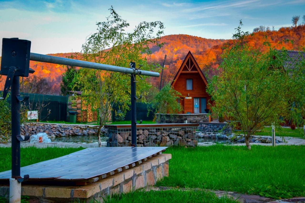 Green Property Dofteana Экстерьер фото