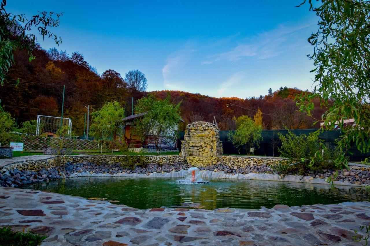 Green Property Dofteana Экстерьер фото