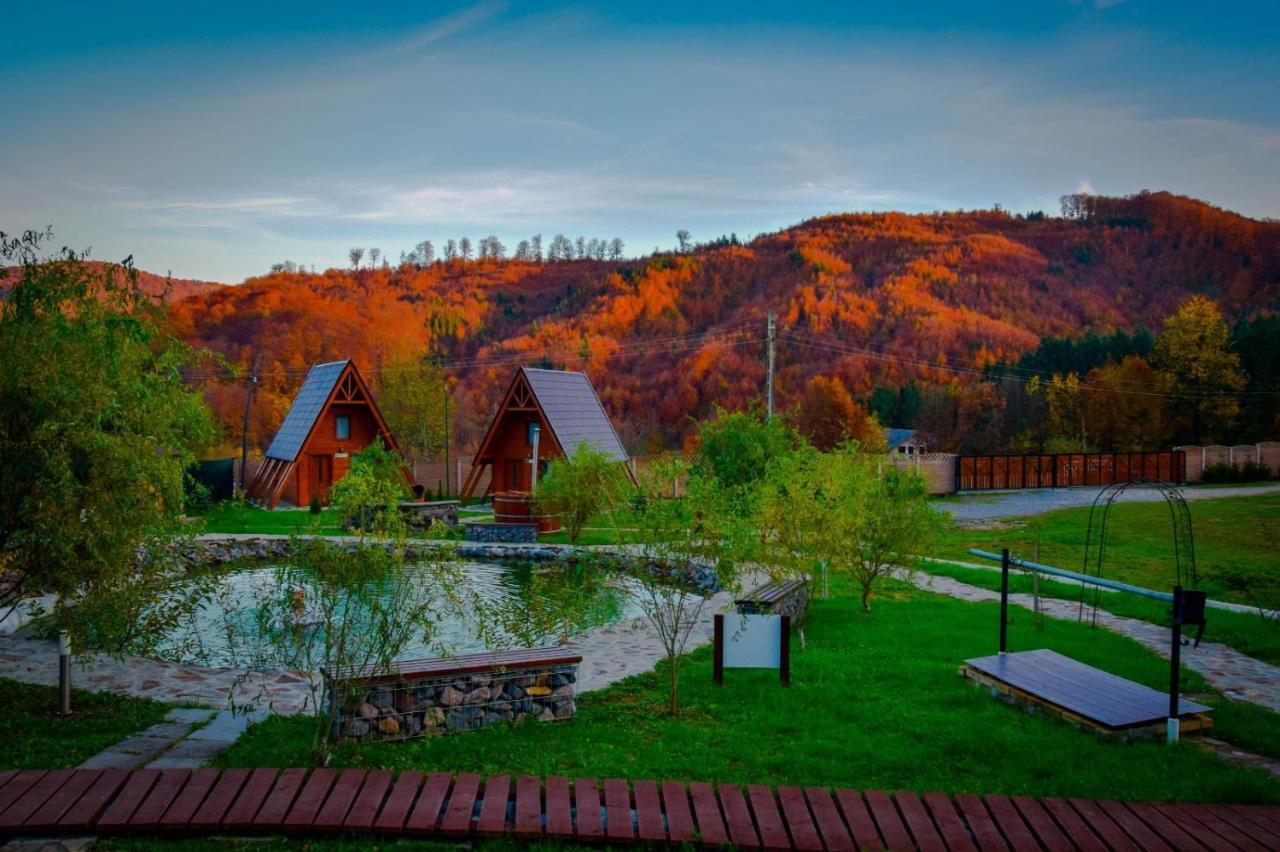 Green Property Dofteana Экстерьер фото