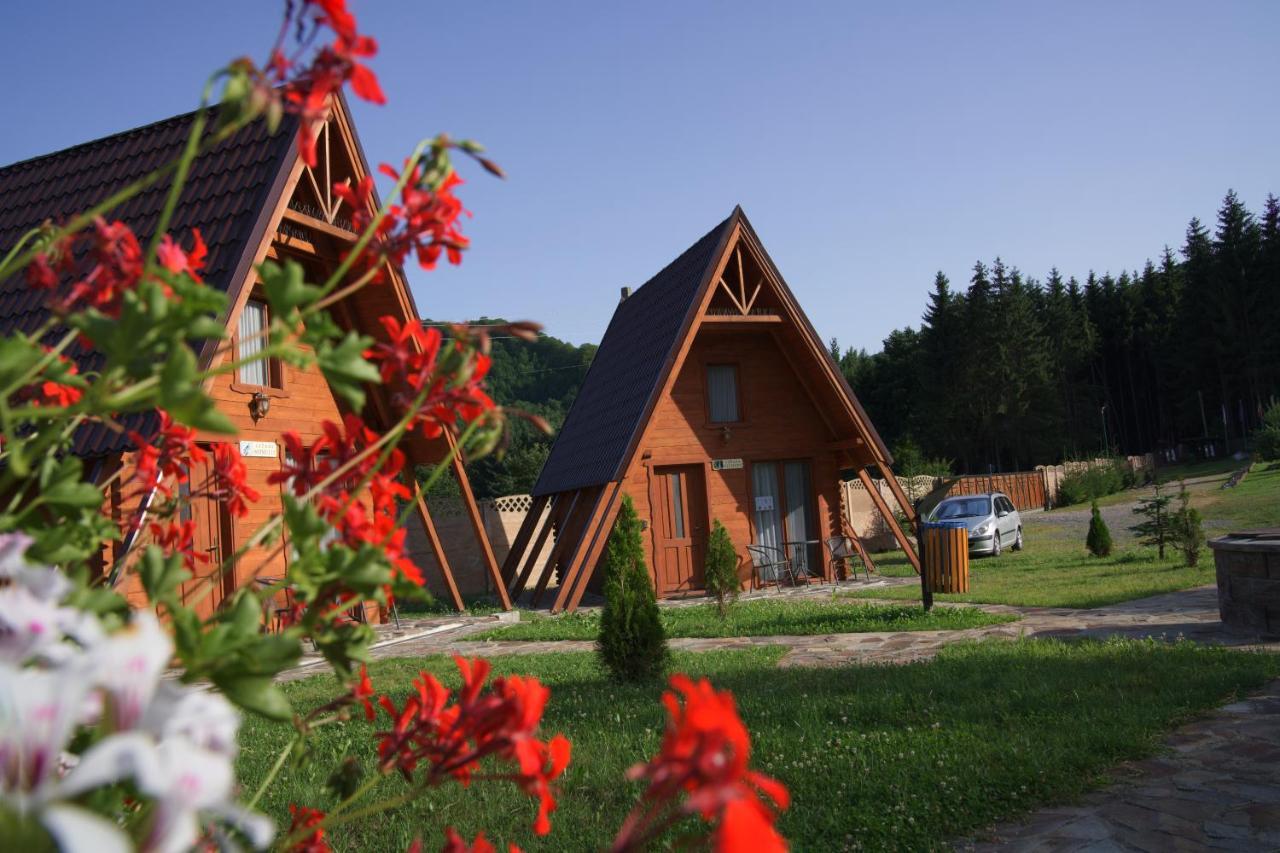 Green Property Dofteana Экстерьер фото